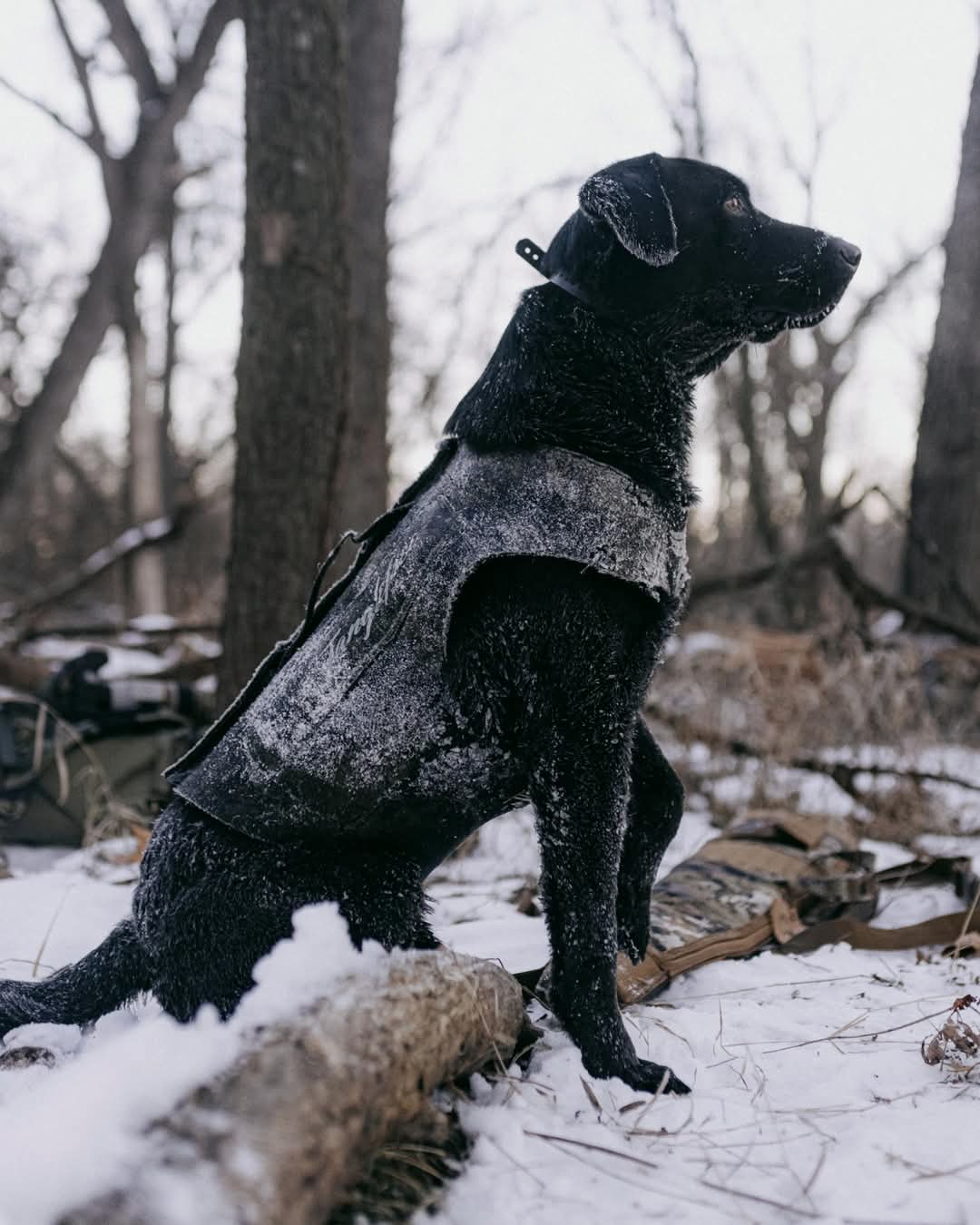 Strengthening Customer Relationships in a Privacy-Oriented World